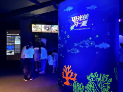 “电光侠，闪一夏”来上海海洋水族馆，与深海精灵奇遇一“夏”！